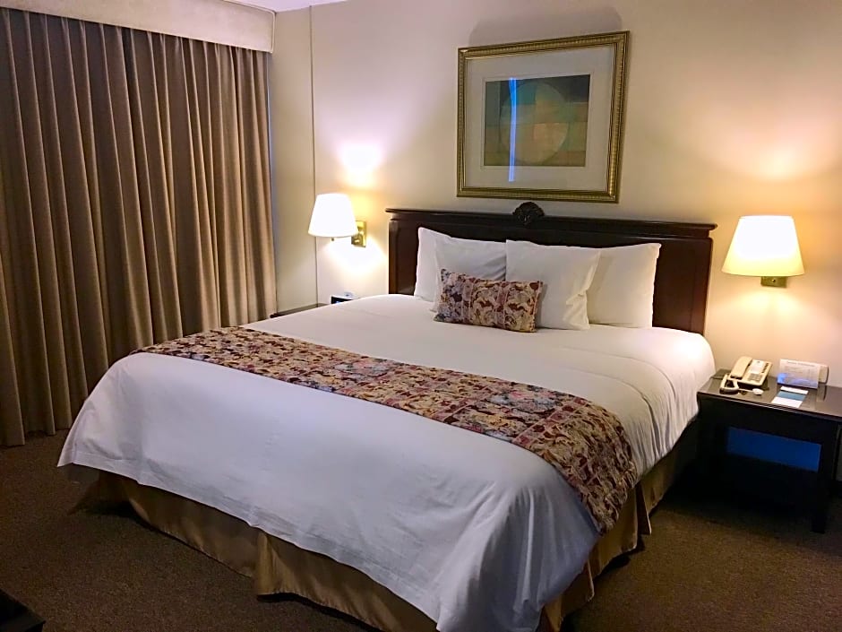 Best Western Cplaza Hotel Quito Ecuador Rates From Usd89